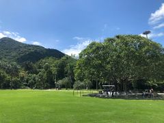 -深圳仙湖植物园