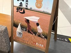 -野人先生Gelato(上海长宁龙之梦店)