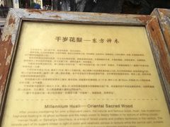 -海口骑楼小吃街