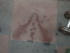 -维乐口腔医院(星海湾分院)