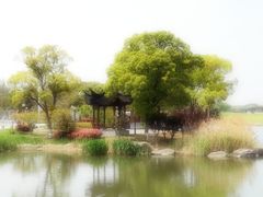 -洞天食府(北大街店)