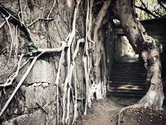 -胡里山炮台