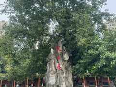 -龙头寺公园