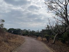 -漳州滨海火山岛自然生态风景区