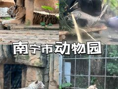 -南宁市动物园