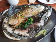 清蒸山水鲩鱼-竹庄餐馆·26年店(南昆山景区店)