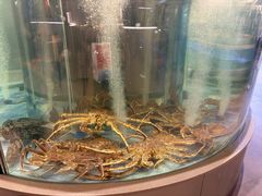 -海底捞大排档火锅(打浦路店)