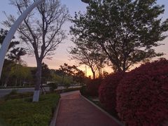 -泰山风景名胜区