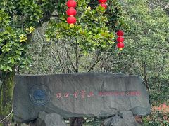 -蒋氏故居