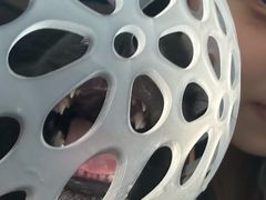 -联合动物医院(光谷诊疗中心)