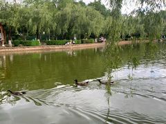 -月牙潭公园
