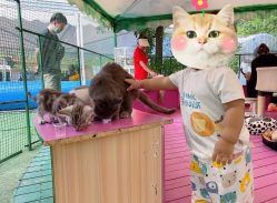 -萌宠亲子动物乐园(槐房万达店)