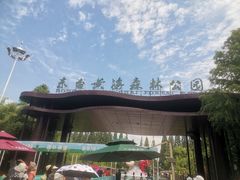 -黄海国家森林公园