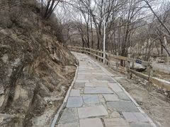 -大岭沟猕猴桃谷风景区