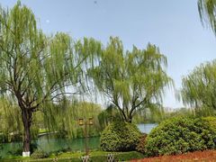 -鹊华居·地道鲁菜·海鲜·融合味(大明湖店)