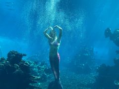 -海棠湾洲际-涛·海底餐厅·美人鱼·自助餐·海底隧道