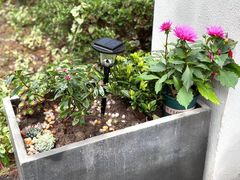 -泊寓(真如上海西站旗舰店)