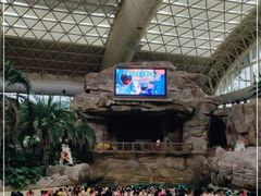 -杭州开元森泊度假乐园