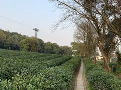 -北高峰