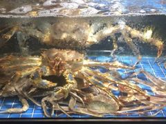 -徐记海鲜(梅溪新天地店)