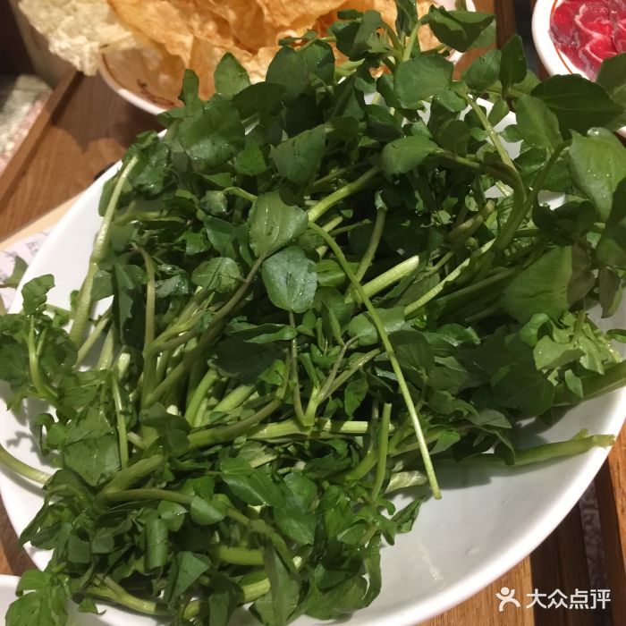 汕头八合里海记牛肉店(玲珑路店)潮汕西洋菜图片 - 第201张