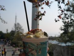 -茶颜悦色(岳麓山顶店)