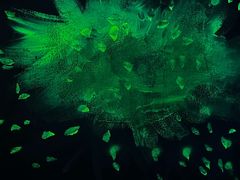 -江和美海洋公园