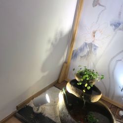-溢美古法抗衰