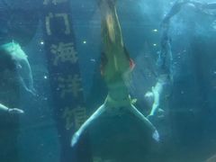 -洛阳龙门海洋馆