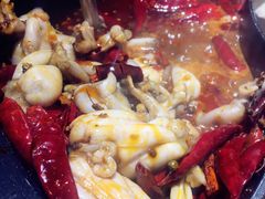 -销魂美蛙鱼头火锅(上海首店)