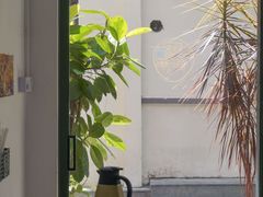 -阿妹小海鲜(下角店)