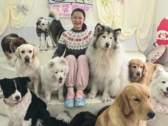-汪说·狗咖·拼豆·宠物周边DIY(旺城大厦店)