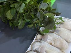 -濠轩阁特色生蚝火锅(水湾路店)
