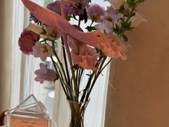 -Tomacado花厨(One ITC店)