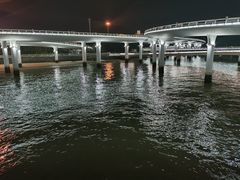 -演武大桥观景平台