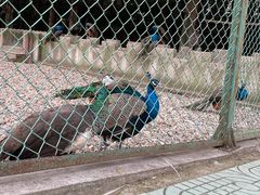 -南京金牛湖风景区