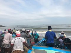 -尼甘布海鲜市场