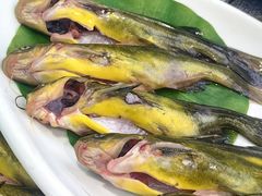 -老妈厨房团圆饺子东北菜(北环路店)