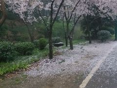 android_upload_pic-塘沽大剧院