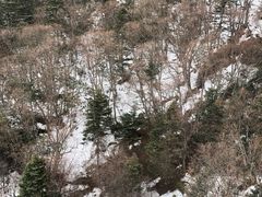 -石卡雪山