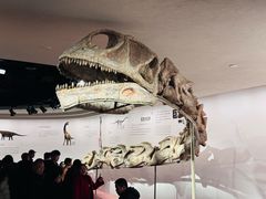 -自贡恐龙博物馆