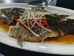 -718·私房·菜(尚大国际店)