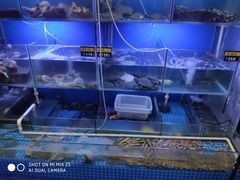 水产区-金龙·打边炉(武进路店)