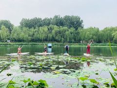 -WhaleSports户外水上运动俱乐部(朝阳公园店)