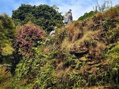 -广州神农草堂中医药博物馆