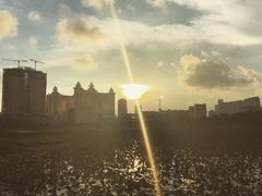 -龙环葡韵住宅式博物馆