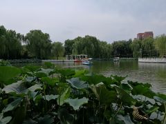 -丰台花园