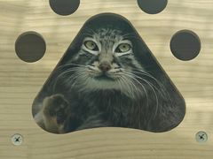 -青藏高原野生动物园
