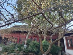 -常熟方塔园