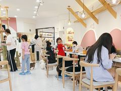 -喵园·猫主题咖啡厅·撸猫·猫咖(国贸店)